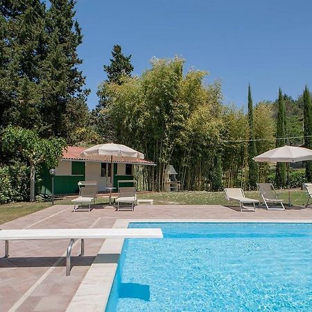 Azienda Agricola E Agriturismo Vallorsi Terricciola Kültér fotó