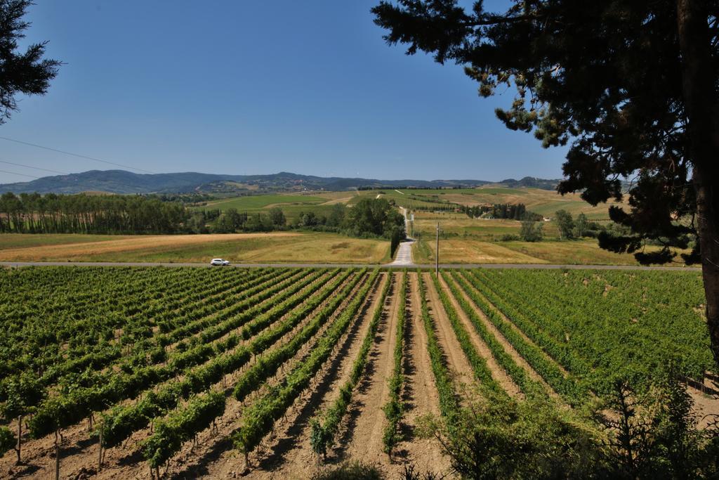 Azienda Agricola E Agriturismo Vallorsi Terricciola Kültér fotó