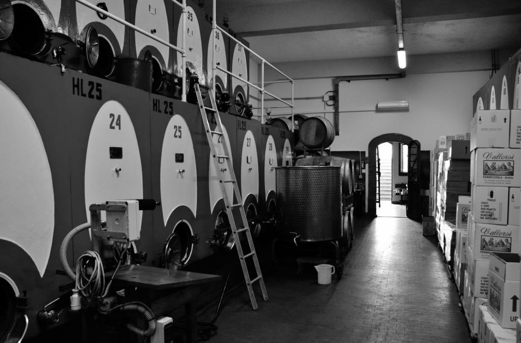Azienda Agricola E Agriturismo Vallorsi Terricciola Kültér fotó